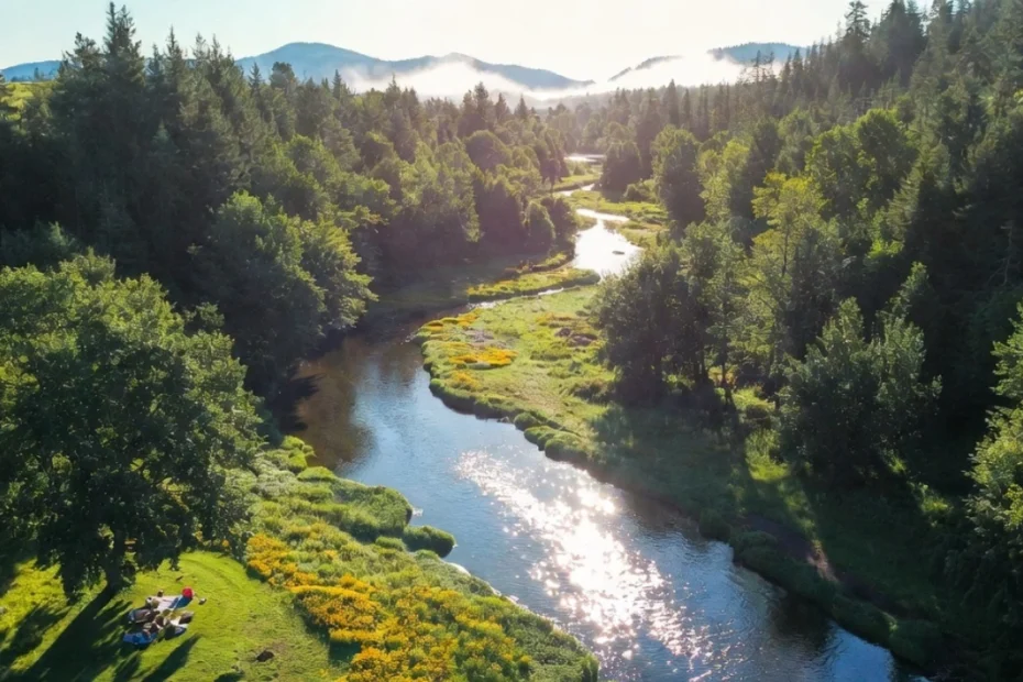 Best Picnic And Nature Spots Near Amity, Oregon