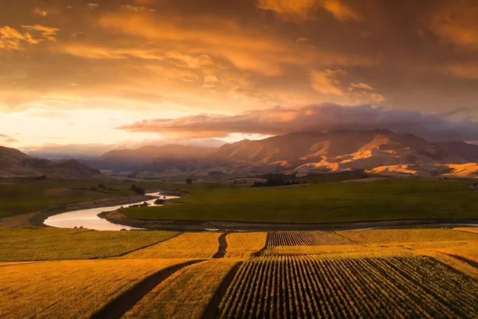 Discover The History Of Amity, Oregon - From Wheat Fields To Wine Country