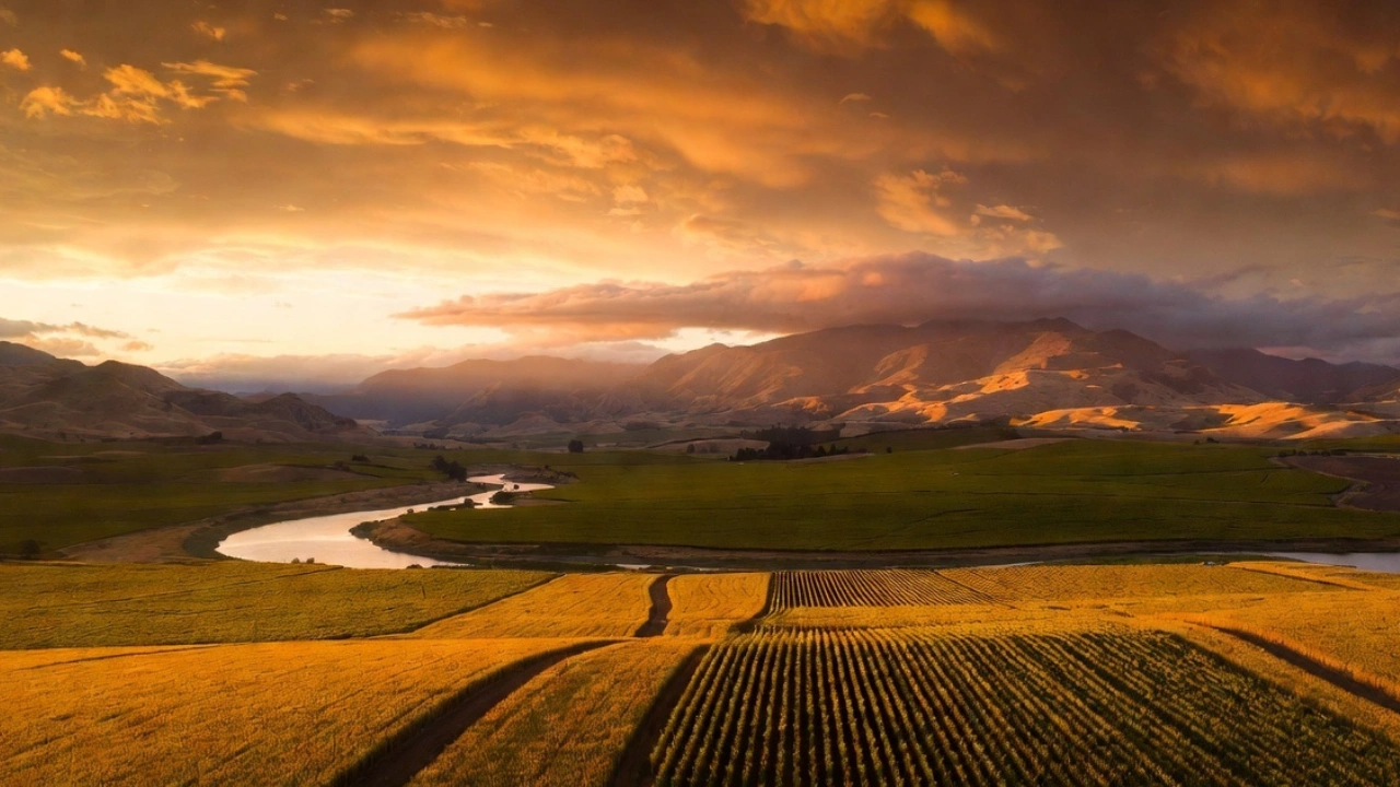 Discover The History Of Amity, Oregon - From Wheat Fields To Wine Country